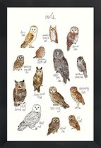 JUNIQE - Poster met houten lijst Uilen illustratie -13x18 /Bruin & Wit