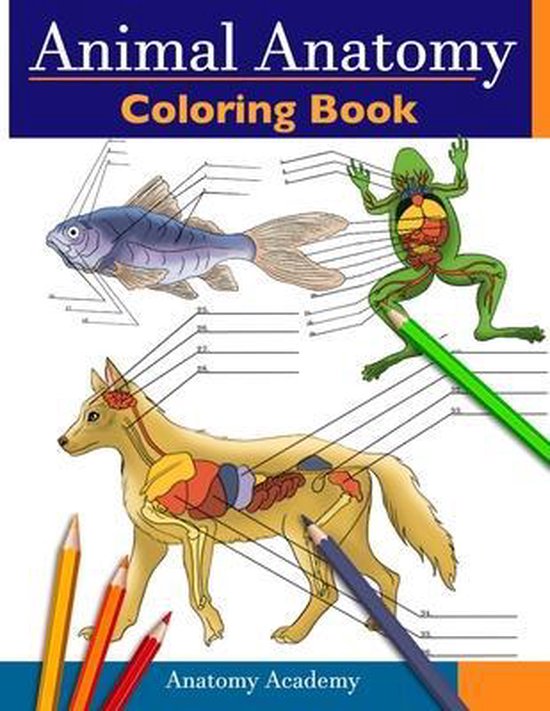 Animal Anatomy Coloring Book - cover