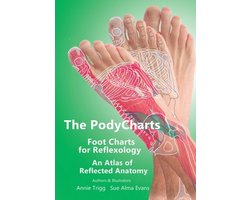 The PodyCharts foot charts for reflexology
