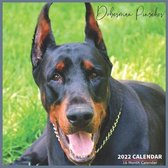 Doberman Pinscher Calendar 2022