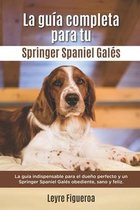 La Guía Completa Para Tu Springer Spaniel Galés