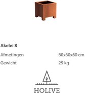 Akelei 8 Cortenstalen plantenbak Cortenstaal bloembak 60x60x60 cm.