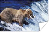 Jagende beer in een vijver poster papier 120x80 cm - Foto print op Poster (wanddecoratie woonkamer / slaapkamer) / Wilde dieren Poster