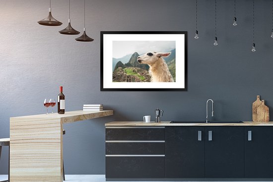 Photo dans le cadre - Lama Witte avec des taches noires Cadre photo noir avec passe partout blanc 60x90 90x60 cm - Affiche dans le cadre (Décoration murale salon / chambre)