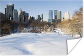 Central Park New York in de winter poster 60x40 cm - Foto print op Poster (wanddecoratie woonkamer / slaapkamer) / Amerika Poster