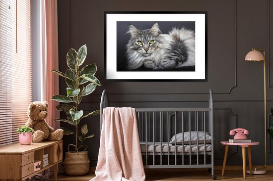 Affiche avec cadre Un chat Maine Coon - 120x80 cm