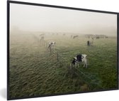 vaches au pâturage dans une prairie brumeuse 60x40 cm