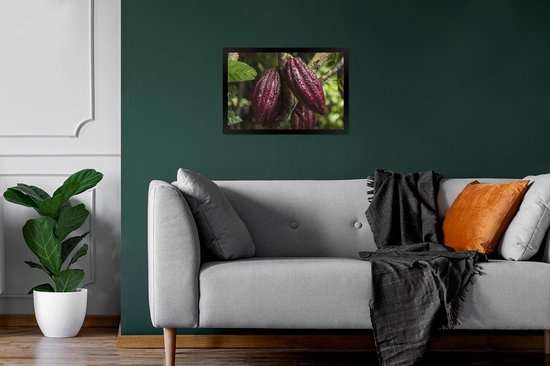 Cadre photo avec affiche - Fèves de cacao rouges dans la peau dans la jungle du Pérou - 30x20 cm - Cadre pour affiche