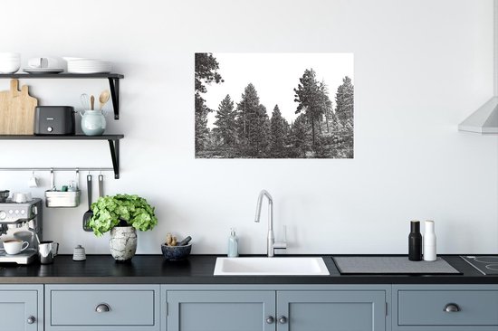 Une illustration historique d'un poster forestier 90x60 cm - Tirage photo sur Poster (décoration murale salon / chambre) / Poster Arbres
