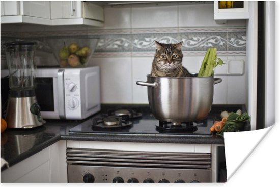 Kat in keukenpan poster papier 90x60 cm - Foto print op Poster (wanddecoratie woonkamer / slaapkamer) / Huisdieren Poster
