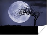 Silhouet van een boom voor de volle maan aan de hemel poster 40x30 cm - klein - Foto print op Poster (wanddecoratie woonkamer / slaapkamer)