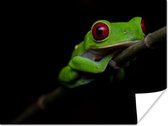 Grenouille aux yeux rouges sur papier poster fond noir 160x120 cm - Tirage photo sur Poster (décoration murale salon / chambre) / Poster Animaux sauvages XXL / Groot format!