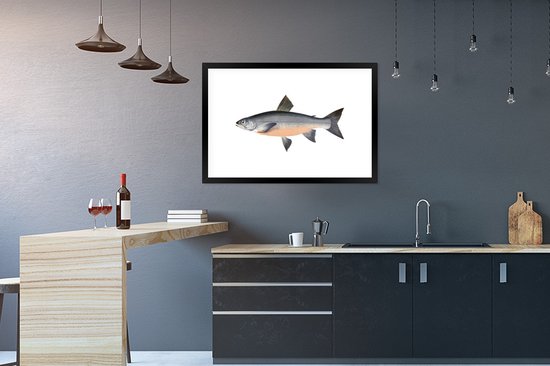 Poisson hareng sur fond blanc 90x60 cm