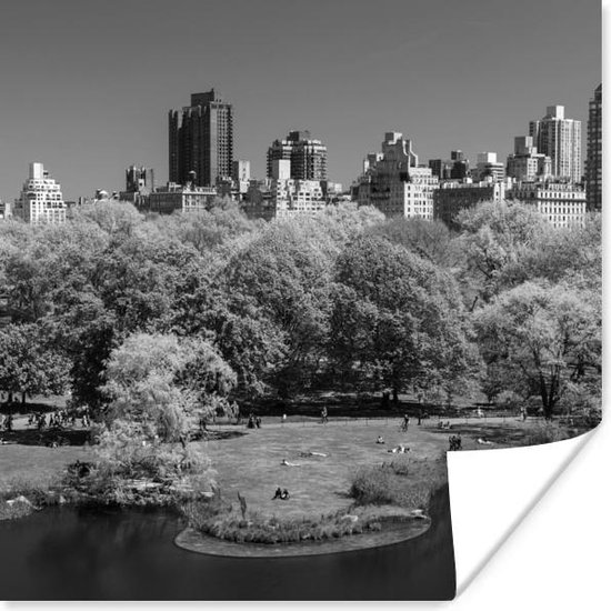 Poster Central Park, New York -zwart-wit - 75x75 cm | bol.com