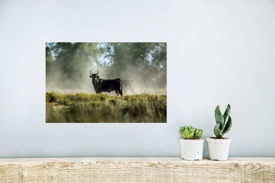 Affiche Taureaux noirs en Camargue - 30x20 cm
