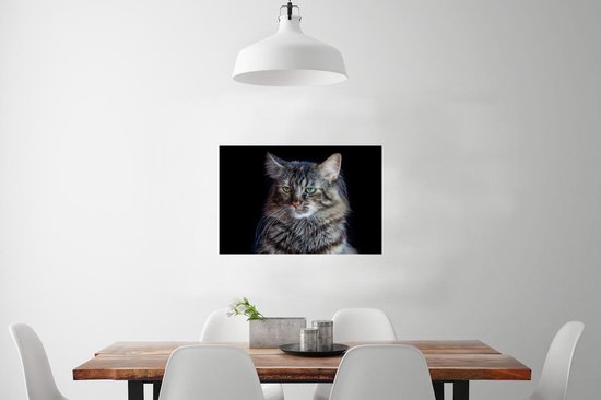 Poster Chat Maine Coon fond noir 90x60 cm - Tirage photo sur Poster (décoration murale salon / chambre) / Poster Animaux domestiques