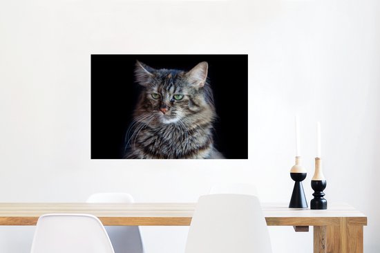 Poster Chat Maine Coon fond noir 90x60 cm - Tirage photo sur Poster (décoration murale salon / chambre) / Poster Animaux domestiques