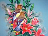 Mona Lisa diamond painting compleet pakket 40x30cm: Vogels met bloemen