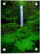 Tuinposter – Stijle Waterval in Bos - 30x40cm Foto op Tuinposter  (wanddecoratie voor buiten en binnen)