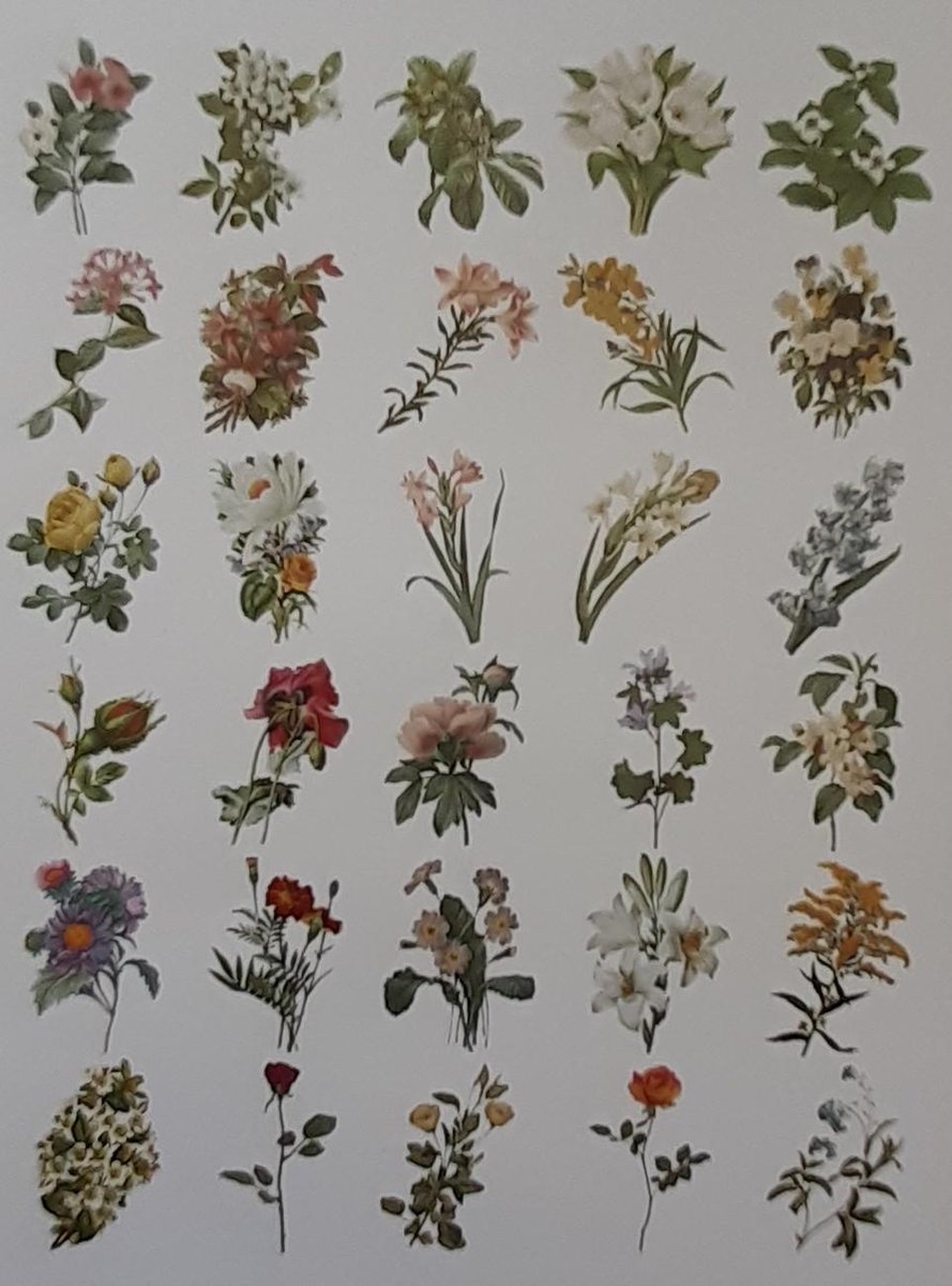 Washi Stickers Thema Bloemen - 60 Stickers - Bloemen En Planten Sticker - Bullet Journal - Stickers Voor Volwassenen - Scrapbooking - Agenda Stickers - Decoratie Sticker Washi Tape — afbeelding 6
