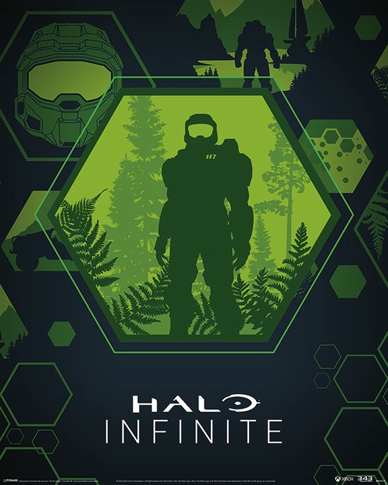 Affiche Halo Infinite Master Chief Hex 40x50cm