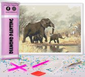 Compleet Full Diamond Painting voor volwassenen en kinderen afrika - Olifanten familie - 30x40cm volledig pakket met accessoires - Cadeau tip
