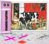 Compleet Full Diamond Painting voor volwassenen en kinderen - Boerderij dieren met kippen, paarden en koeien - 30x40cm volledig pakket met accessoires - Cadeau tip