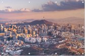 Toren op de Namsanberg in de skyline van centraal Seoul - Foto op Tuinposter - 90 x 60 cm