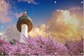 De Namsan Seoul Tower achter kersenbloesem in Zuid Korea - Foto op Tuinposter - 90 x 60 cm