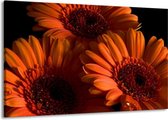 Peinture sur toile Fleur | Orange, noir, rouge | 140x90cm 1 Liège