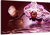 Schilderij Op Canvas - Groot -  Orchidee - Paars, Roze, Rood - 140x90cm 1Luik - GroepArt 6000+ Schilderijen Woonkamer - Schilderijhaakjes Gratis
