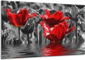 Schilderij Op Canvas Tulpen - Zwart, Rood, Grijs - 120x70cm 1Luik - Foto Op Canvas - GroepArt 6000+ Schilderijen 0p Canvas Art Collectie - Wanddecoratie - Woonkamer - Slaapkamer - Canvas Print