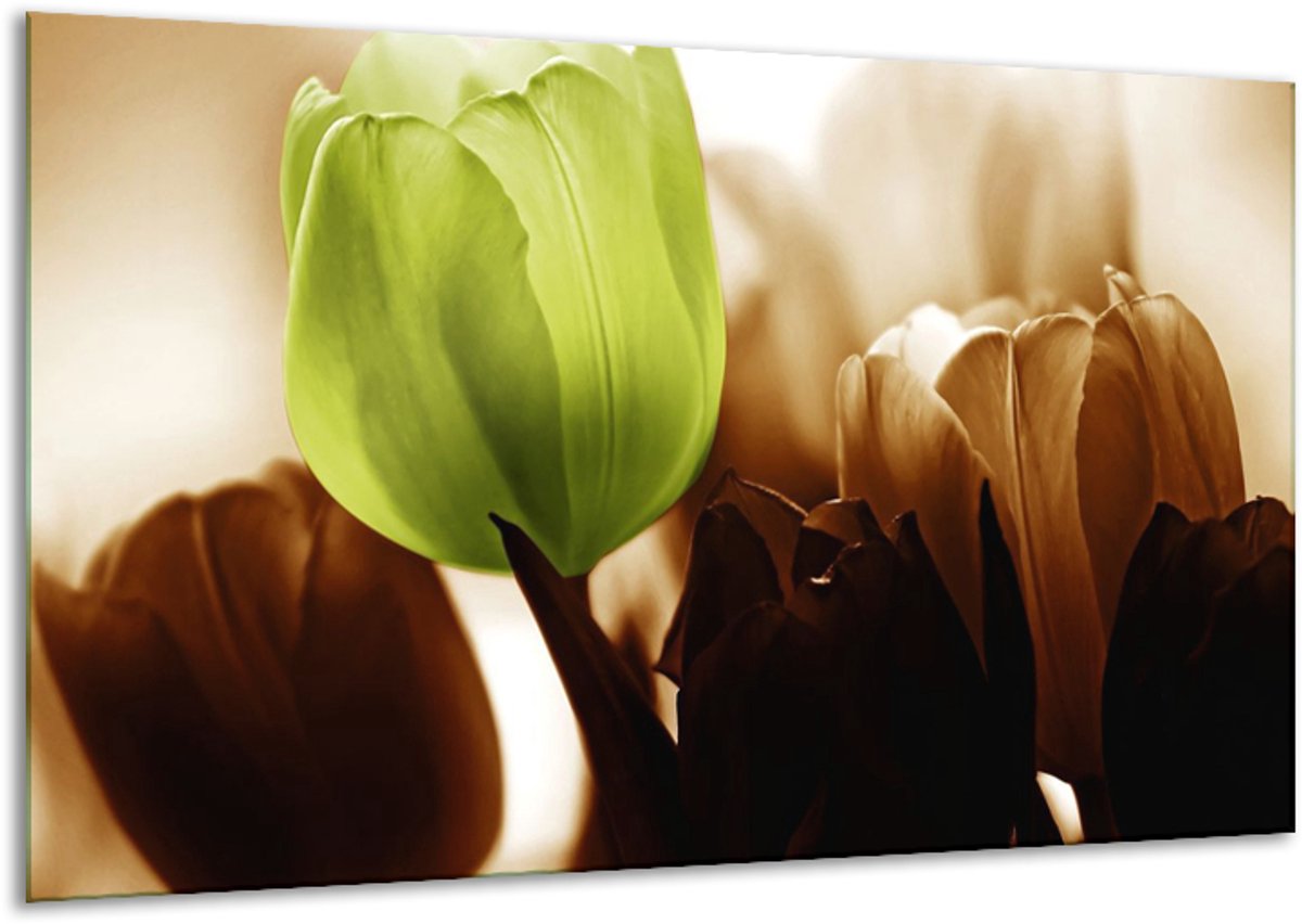 Schilderij Op Canvas Tulpen - Groen, Wit, Grijs - 120x70cm 1Luik - Foto Op Canvas - GroepA
