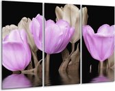 GroepArt - Schilderij -  Tulpen - Paars, Grijs - 120x80cm 3Luik - 6000+ Schilderijen 0p Canvas Art Collectie