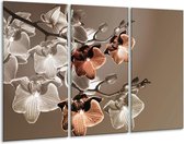 GroepArt - Schilderij -  Orchidee - Grijs, Bruin - 120x80cm 3Luik - 6000+ Schilderijen 0p Canvas Art Collectie