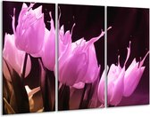 GroepArt - Schilderij -  Tulp - Roze, Zwart - 120x80cm 3Luik - 6000+ Schilderijen 0p Canvas Art Collectie
