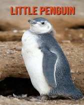 Little Penguin