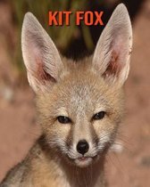 Kit Fox