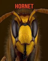 Hornet