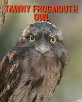 Tawny Frogmouth Owl