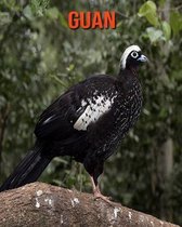 Guan