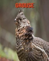 Grouse