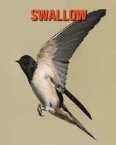 Swallow