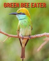 Green Bee Eater