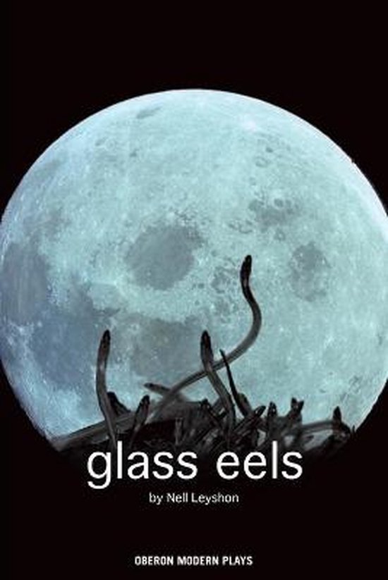Glass Eels 9781840027532 Nell Leyshon Boeken