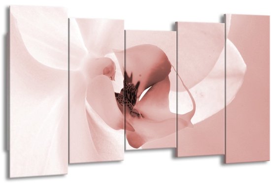 GroepArt - Canvas Schilderij - Bloem - Rood, Crème - 150x80cm 5Luik- Groot Collectie Schilderijen Op Canvas En Wanddecoraties