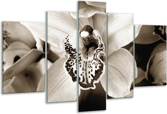 Glasschilderij Bloem - Sepia - 170x100cm 5Luik - Foto Op Glas - Geen Acrylglas Schilderij - 6000+ Glasschilderijen Collectie - Wanddecoratie
