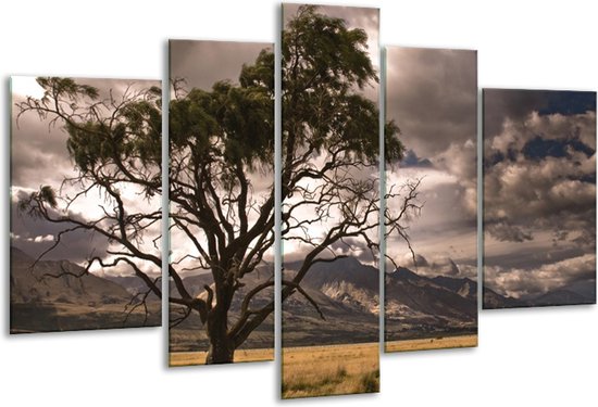 Peinture sur verre Nature | Blanc, noir, gris | 170x100cm 5 Liège | Tirage photo sur verre |  F001558