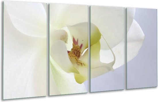 Glasschilderij Orchidee | Wit, Geel, Groen | | Foto print op Glas |  F000503