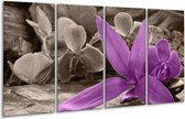 GroepArt - Glasschilderij - Orchidee - Grijs, Paars - 160x80cm 4Luik - Foto Op Glas - Geen Acrylglas Schilderij - 6000+ Glasschilderijen Collectie - Wanddecoratie